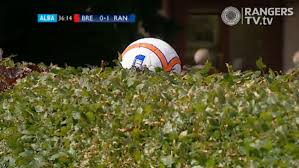 ball in hedge